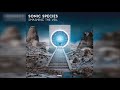 Sonic Species - Smashing The Veil