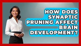 How Does Synaptic Pruning Affect Brain Development? - Brain Development Hub