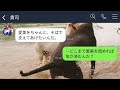 【line】嫁に行ったはずの娘が大雪の中をサンダルで30キロ歩いて実家に帰ってきた「お義父さん、助けて」→クズ夫にキレて鬼と化した父が娘のため復讐した結果…www