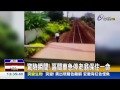 老翁鐵軌旁摔倒火車司機急煞車救人