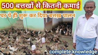 बत्तक पालन की शुरुआत ऐसे ही करें।500 duck से कितनी कमाई होती है। duck farming in india