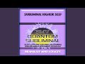 Subliminal Higher Self - Silent Ultrasonic Track