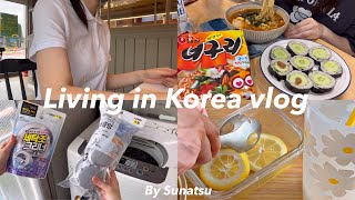 【Korea vlog】Cucury Kimpa and Neoguri Ramen, Washing Machine Cleaning, Lemon Cultivation