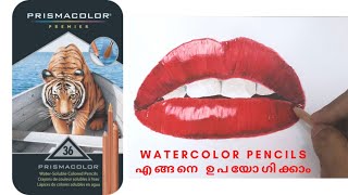 Watercolor Pencil എങ്ങനെ ഉപയോഗിക്കാം-Malayalam