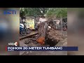 Diterpa Hujan dan Angin Kencang, Pohon Beringin 20 Meter Tumbang di Cawang #SeputariNewsPagi 22/08