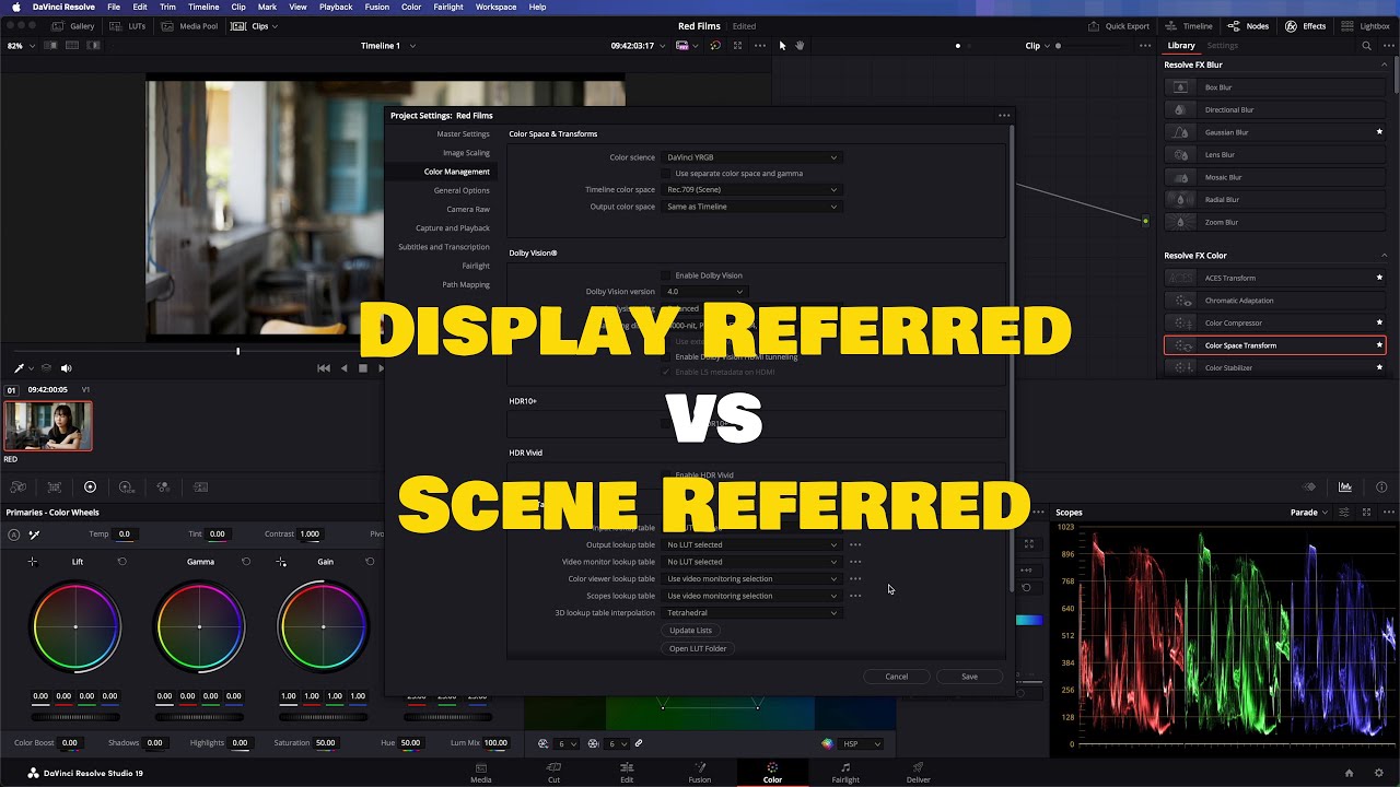 Davinci Resolve Master Shares Top Color Grading Secrets Youtube