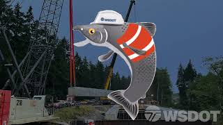 Fish Barrier Removal Work This Summer
