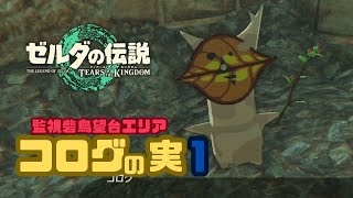 【ゼルダの伝説　ティアキン】コログの実１！監視砦鳥望台エリア