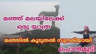 പൊന്മുടിയിൽ ശക്തമായ കോടമഞ്ഞ്. മഞ്ഞിൽ കുളിച്ച് സഞ്ചാരികൾ.#ponmudi #keralatourism@ponniscorner2012