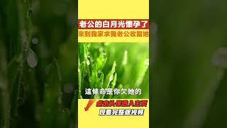 老公的白月光懷孕了，來到我家求我老公收留她，我不同意當天她從天橋跳下去，我反手給他送上一份大禮【冬生於南】#家庭倫理#婆媳關系#小說#生活伦理#小说故事#落日溫情 #情感故事 #花開富貴