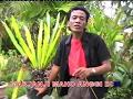 PARLIN LUBIS -  BULAN TULA_LAGU TAPSEL MADINA TERBARU_BAI PRODUCTION