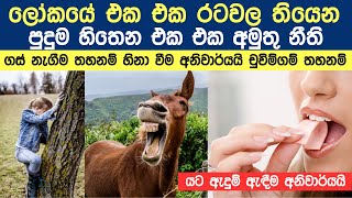 ලෝකයේ විවිධ රටවල තියෙන අමුතුම නීති ගොන්නක්