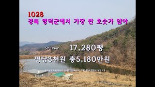 [번호 1028]경북 영덕군에서 가장 싼 호숫가 임야  평당3천원