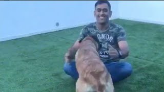 Ms Dhoni pet dog  imitating his movement  😍😍