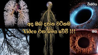 විශ්වය සහ ඔබ ! 🧿🤍🌍✨ #lawofattraction #srilanka #universe #sinhala #motivation