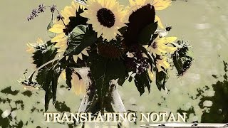 Coming in April - Translating Notan