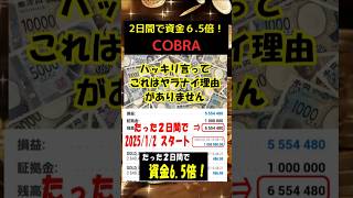 【日利427%達成！】たった2日で100万⇒655万！FX自動売買EA「COBRA」リリース！