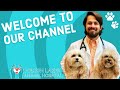 Welcome to Our Channel | Heron Lakes Animal Hospital