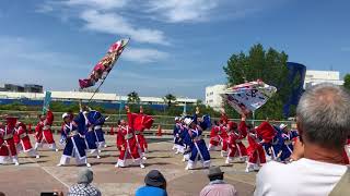 よさこいかえる祭り フリーステージ いちや