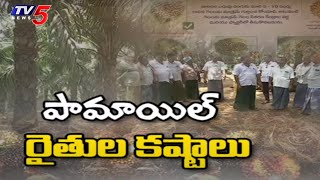 పామాయిల్ రైతుల కష్టాలు | TV5 Special Story On Palm Oil Farmers Problems | AP News | TV5 News Digital