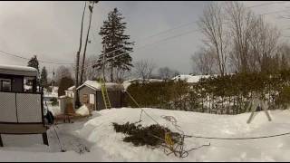 Arborist Tree Removal using a Speedline (Arboriculture, Forestry)