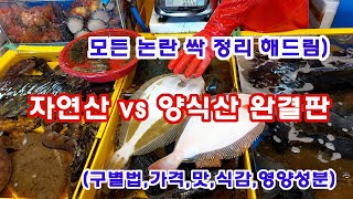 회(생선회) 자연산 vs 양식산 완결판 (구별법, 맛, 식감 등 모든 논란 싹 정리 해드림) wild vs farmed