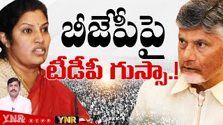 BJP పై TDP గుస్సా.! | Conflict in Between TDP and BJP | AP Politics | Journalist YNR