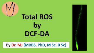 Fluorescein diacetate, DCFDA staining, ROS, Arabidopsis, stress, roots, research @DoctorTutors