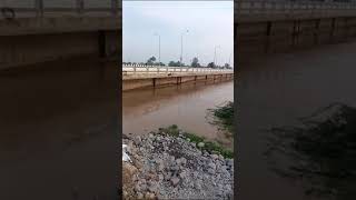 Flood level in river ghaggar in Sardulgarh Bridge