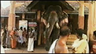 Aranmula Reghunathan #Shorts #Madhusoodanam #Cousinz Media #Aanapremi# #keralaelephant