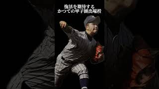 2006年春夏以来 甲子園から遠ざかる高校　#甲子園 #高校野球 #センバツ