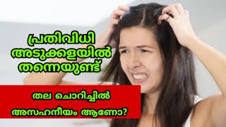 #3 - കേശസംരക്ഷണം പത്തു ദിവസം How To Reduce Scalp Itching And Irritation At Home  #panjamystips