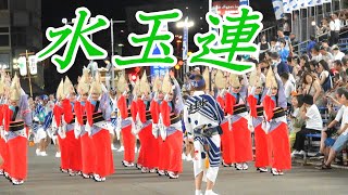 阿波おどり2024初日「水玉連」＠徳島阿波おどり藍場浜演舞場8/12