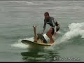 surfs up for alpaca in peru