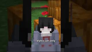 the secret of the minecraft elytra