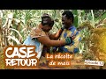 Case Retour, saison 01, episode 12, La récolte de maïs