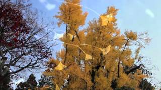 葛城一言主神社