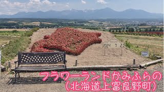 2024/07/21　フラワーランドかみふらの（北海道上富良野町）