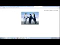 How To Insert Image in HTML Web Page Using Notepad Tutorial 2