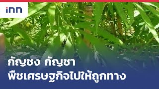 กัญชง-กัญชาพืชเศรษฐกิจไปให้ถูกทาง  : 24-07-65 | iNN Top Story