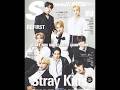 Stray kids 