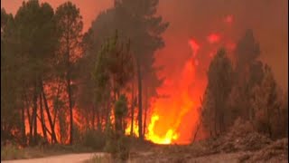 Лесные пожары и аномальная жара