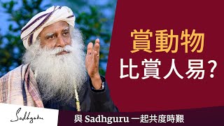 為什麼欣賞動物比欣賞人容易呢? | Sadhguru (薩古魯)