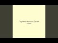 Fragments Harmony Serene