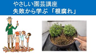 やさしい園芸講座　失敗から学ぶ「根腐れ」