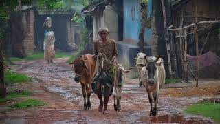 Village photography Dakshin Dinajpur.