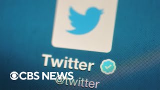 Researchers find hate speech has increased on Twitter following Elon Musk’s takeover