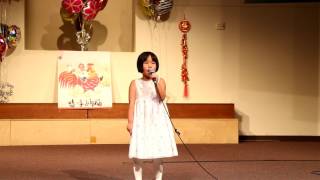 2017 张晨艺术学校春节演出