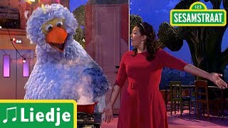 Wij hebben thuis een gasfornuis - Caro Emerald \u0026 Pino - Liedje - Sesamstraat