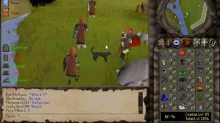 runescape